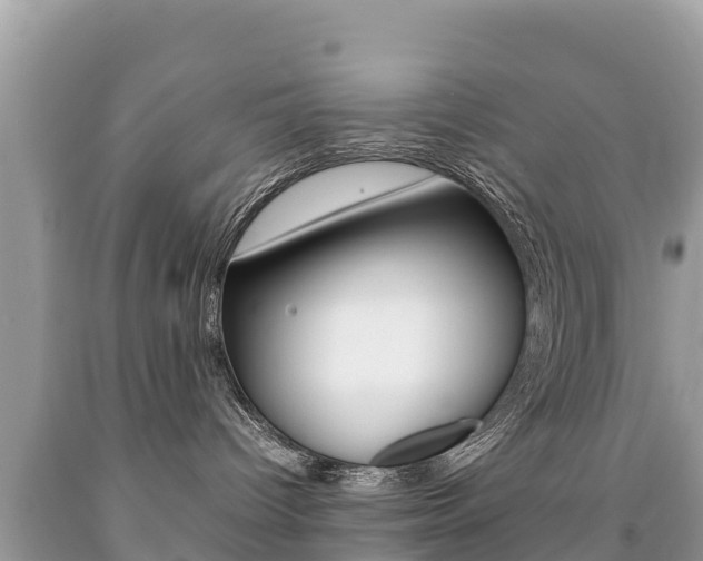 X0000092220096200709140930