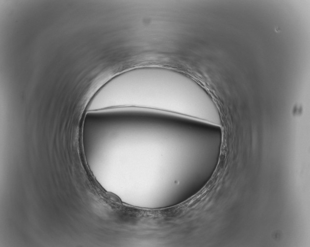 X0000092220099200709140930