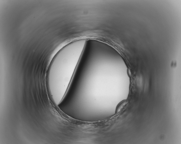 X0000092220100200709140930