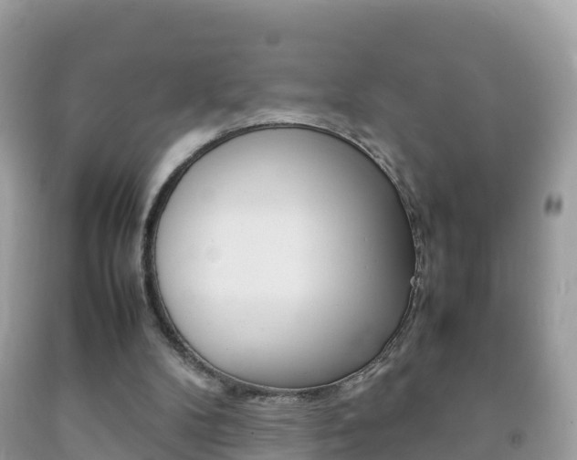 X0000092220104200709140930
