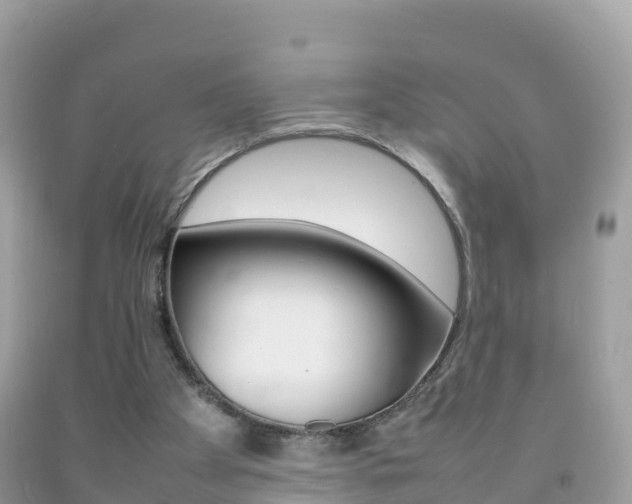 X0000092220105200709140930