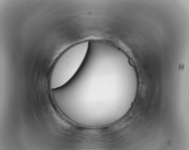 X0000092220106200709140930