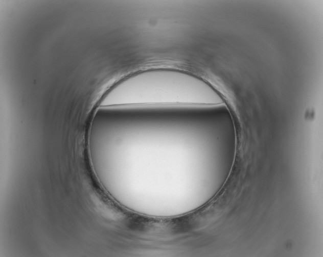 X0000092220107200709140929