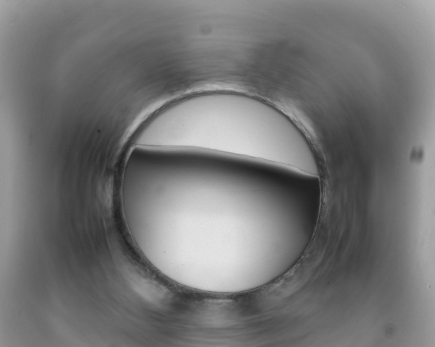 X0000092220108200709140929