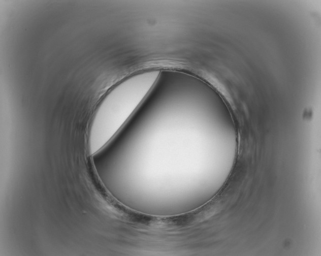 X0000092220109200709140929