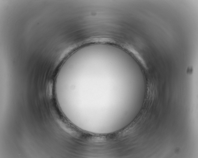 X0000092220110200709140929
