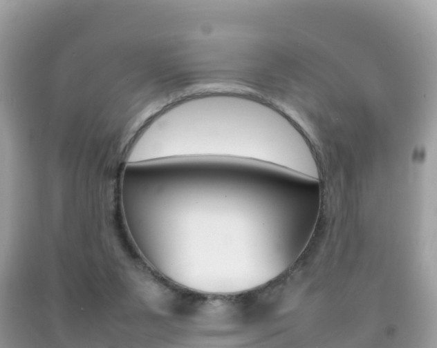 X0000092220111200709140929
