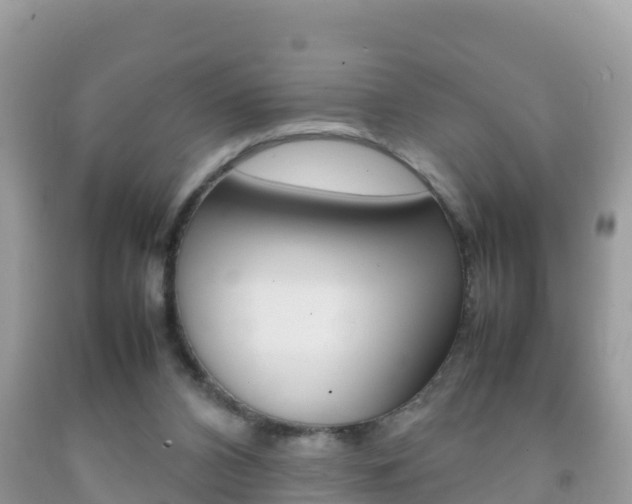 X0000092220112200709140929