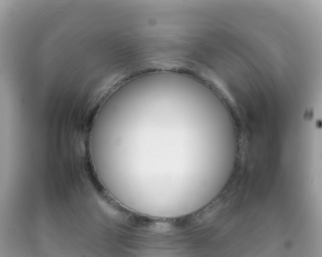 X0000092220114200709140929