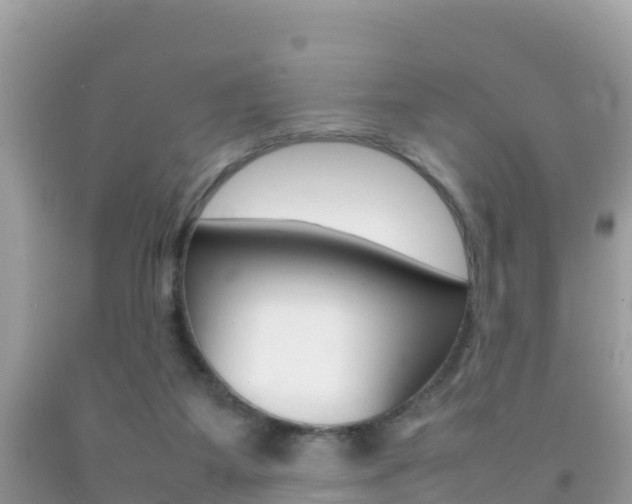 X0000092220115200709140929