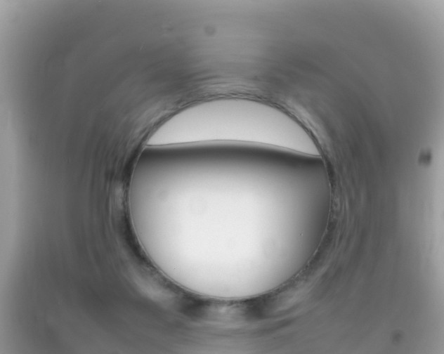 X0000092220117200709140929