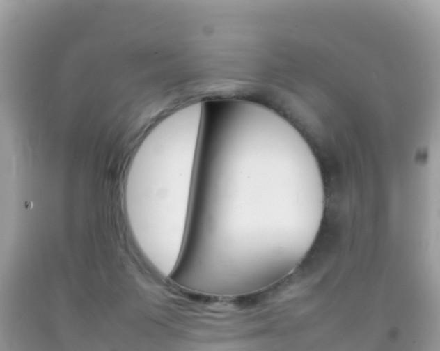 X0000092220119200709140929