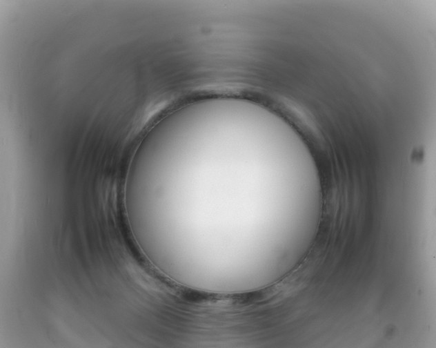 X0000092220120200709140929