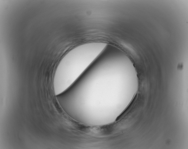 X0000092220121200709140929
