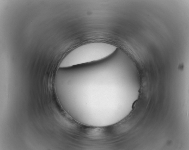 X0000092220122200709140929