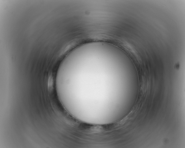 X0000092220124200709140929