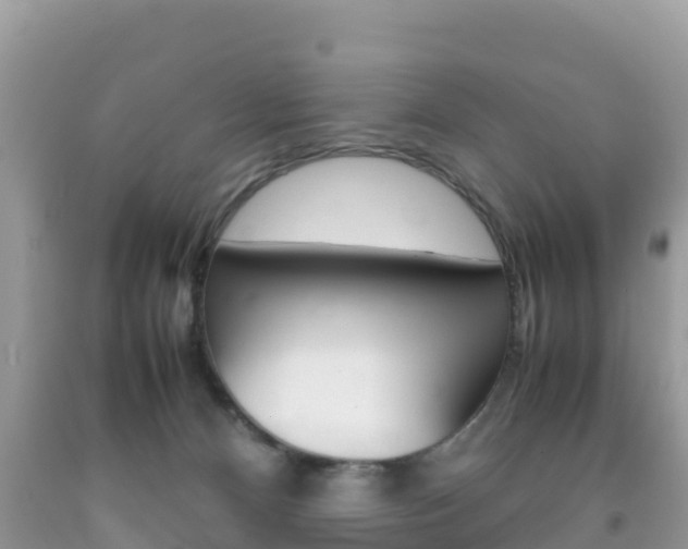 X0000092220128200709140929