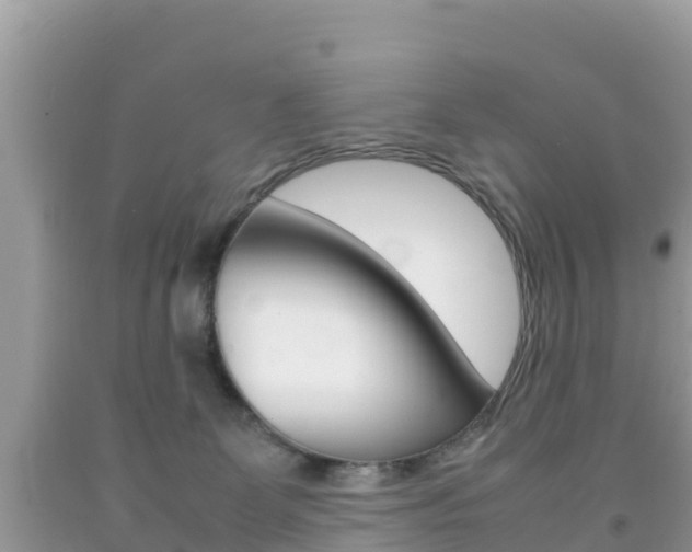 X0000092220131200709140929