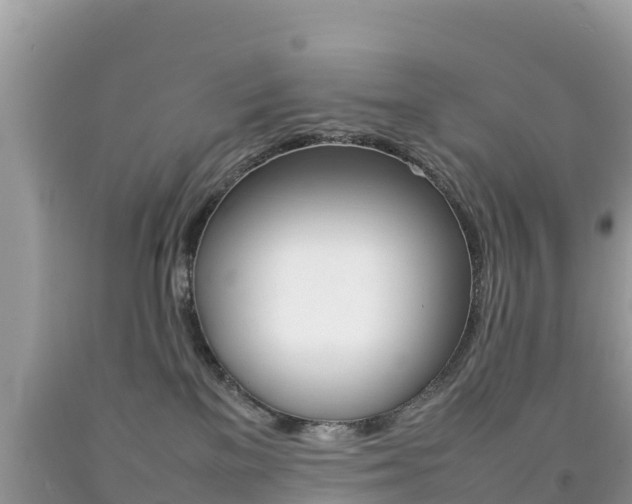 X0000092220137200709140929