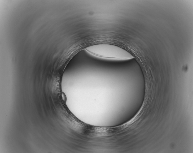 X0000092220144200709140929