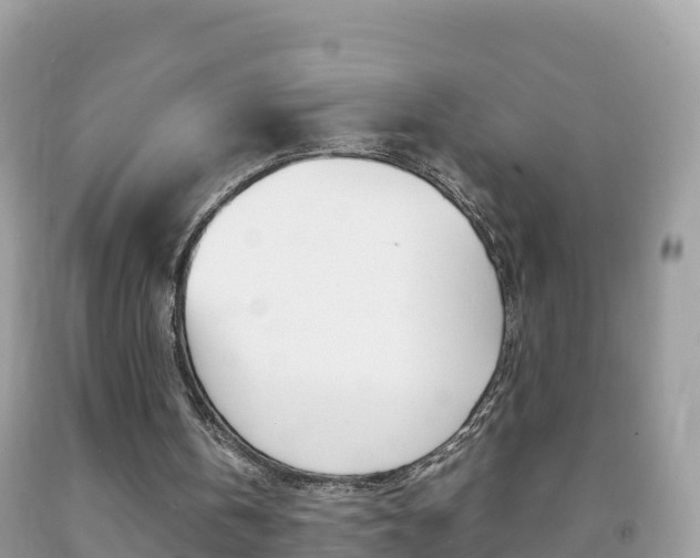 X0000092220146200709140928