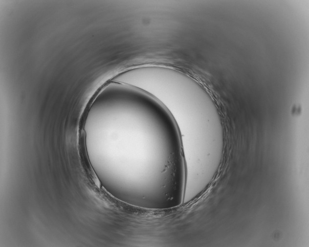 X0000092220148200709140928