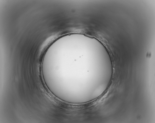 X0000092220149200709140928