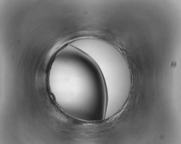 X0000092220150200709140928