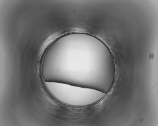X0000092220151200709140928