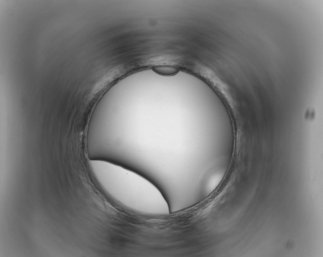 X0000092220153200709140928