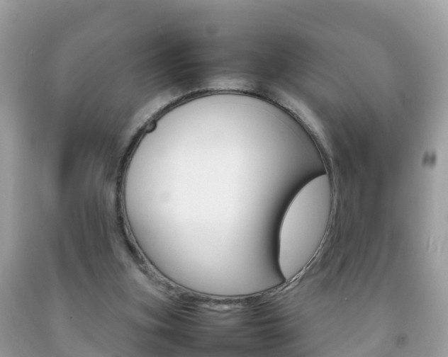 X0000092220155200709140928