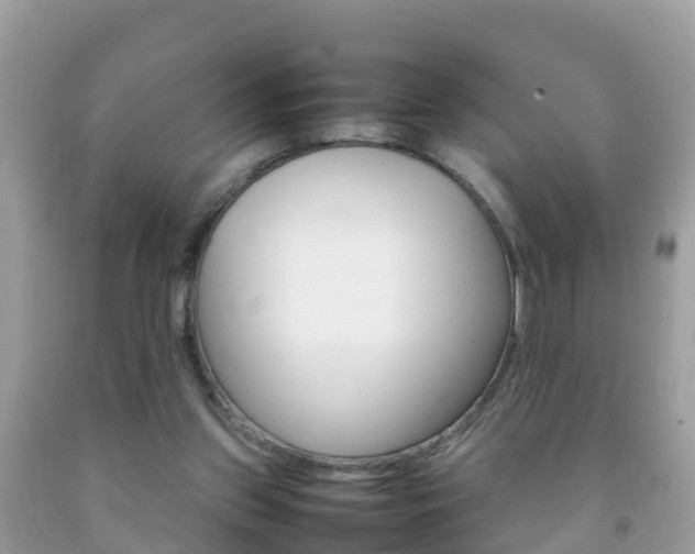 X0000092220157200709140928