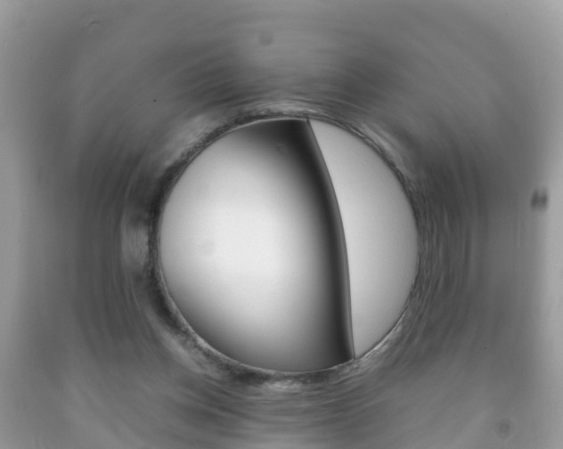 X0000092220158200709140928