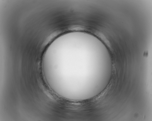 X0000092220159200709140928