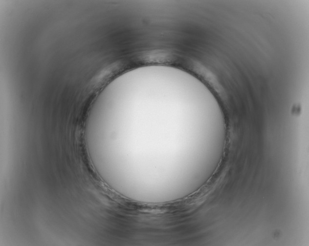 X0000092220161200709140929