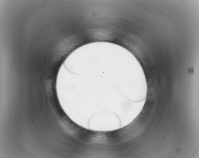X0000092220162200709140929