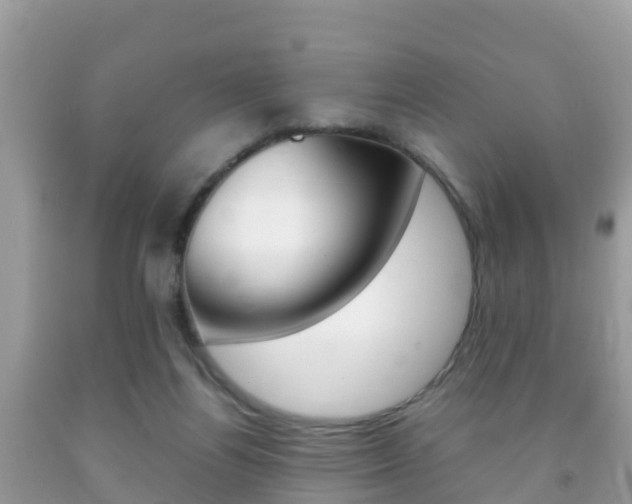 X0000092220164200709140929