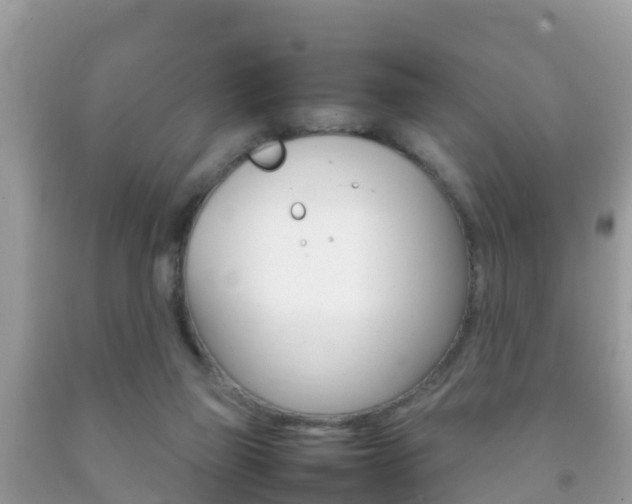 X0000092220165200709140929