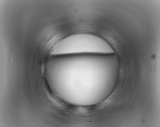X0000092220166200709140929