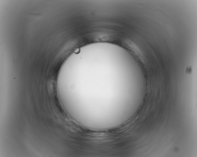 X0000092220169200709140929