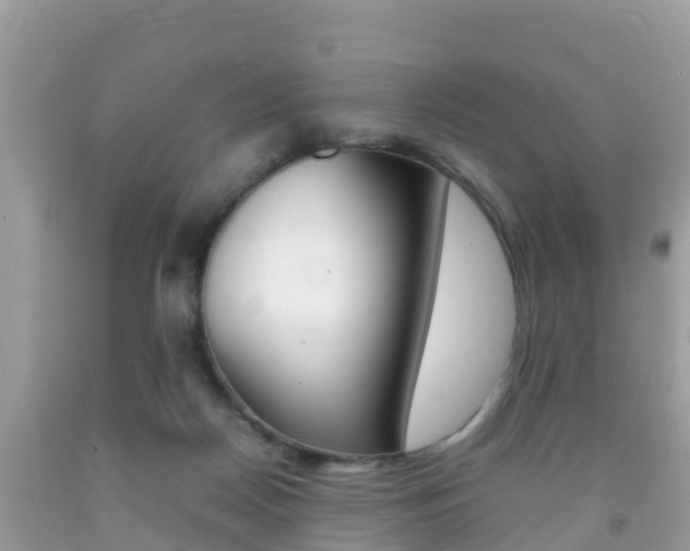 X0000092220170200709140929