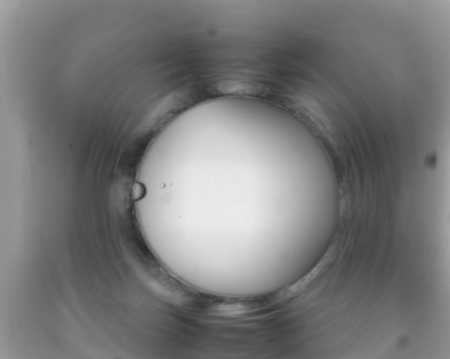 X0000092220171200709140929