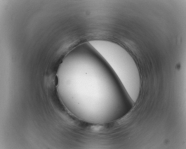 X0000092220172200709140929