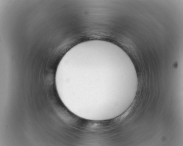 X0000092220174200709140929