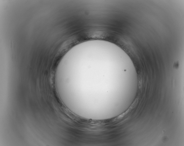 X0000092220175200709140929
