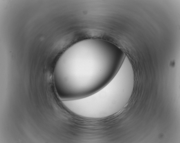 X0000092220176200709140929