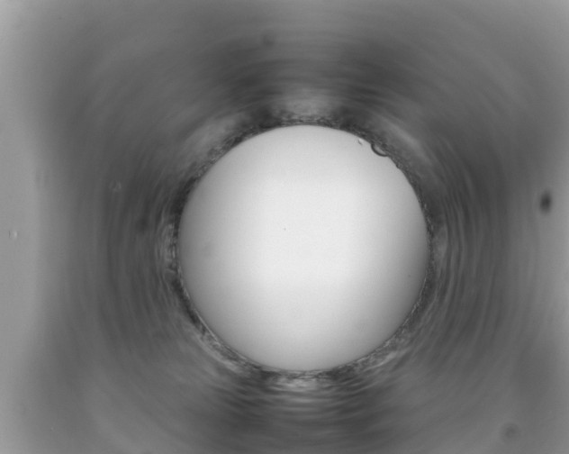 X0000092220181200709140929