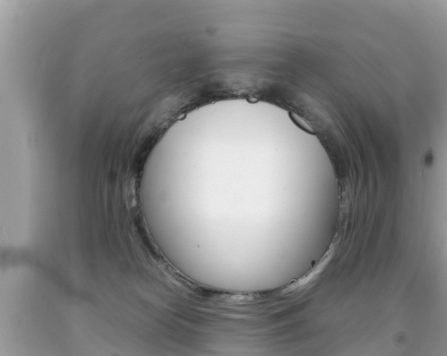 X0000092220182200709140929