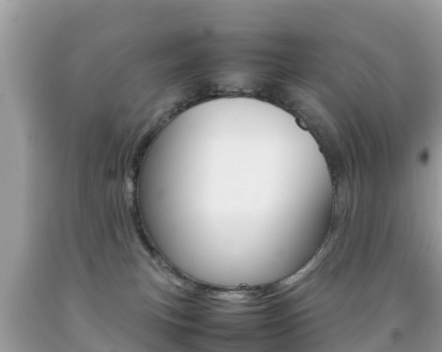 X0000092220183200709140929