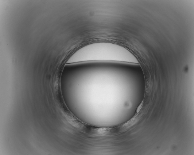 X0000092220184200709140929
